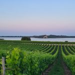 Veni è Posa: Découvrez l&rsquo;enchantement de La Table du Domaine