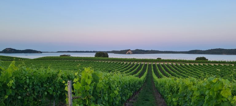 Veni è Posa: Découvrez l’enchantement de La Table du Domaine