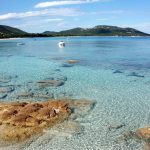 Des vacances inoubliables en Corse au Domaine Alicia