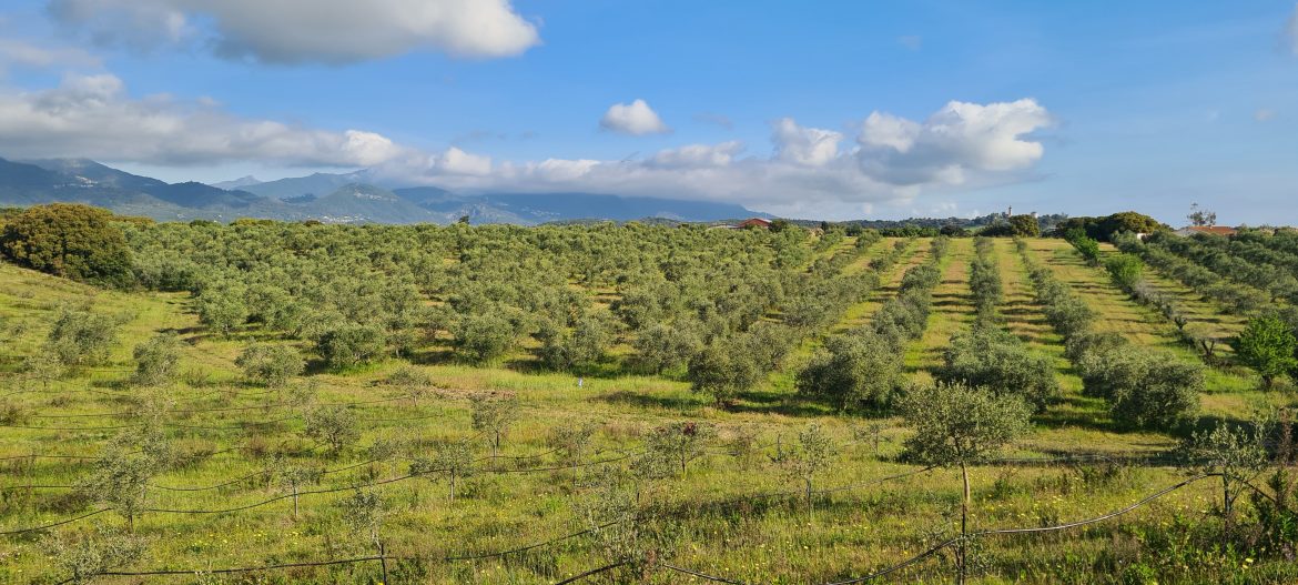 Réservez vos vacances de rêve en Corse au Domaine Alicia : séjournez dans la Villa A Sulana !