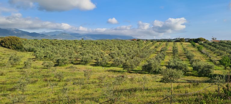 Réservez vos vacances de rêve en Corse au Domaine Alicia : séjournez dans la Villa A Sulana !